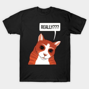 Really? Cute Ginger cat watching you a bit worried T-Shirt